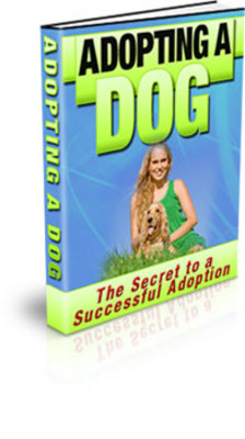 Product picture The New Dog - Adopting A Dog